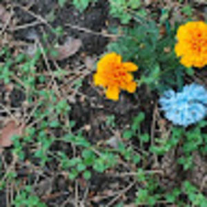 Meet your Posher, Ian